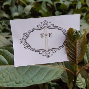 Meet your Posher, Tiffany elizabeth